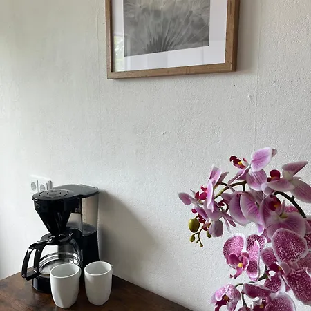 Apartamento Harzbreak 2 *